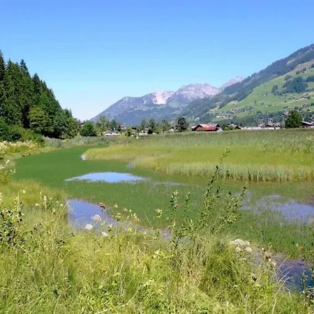 Apartment Sleeps 8 Wifi Lenk